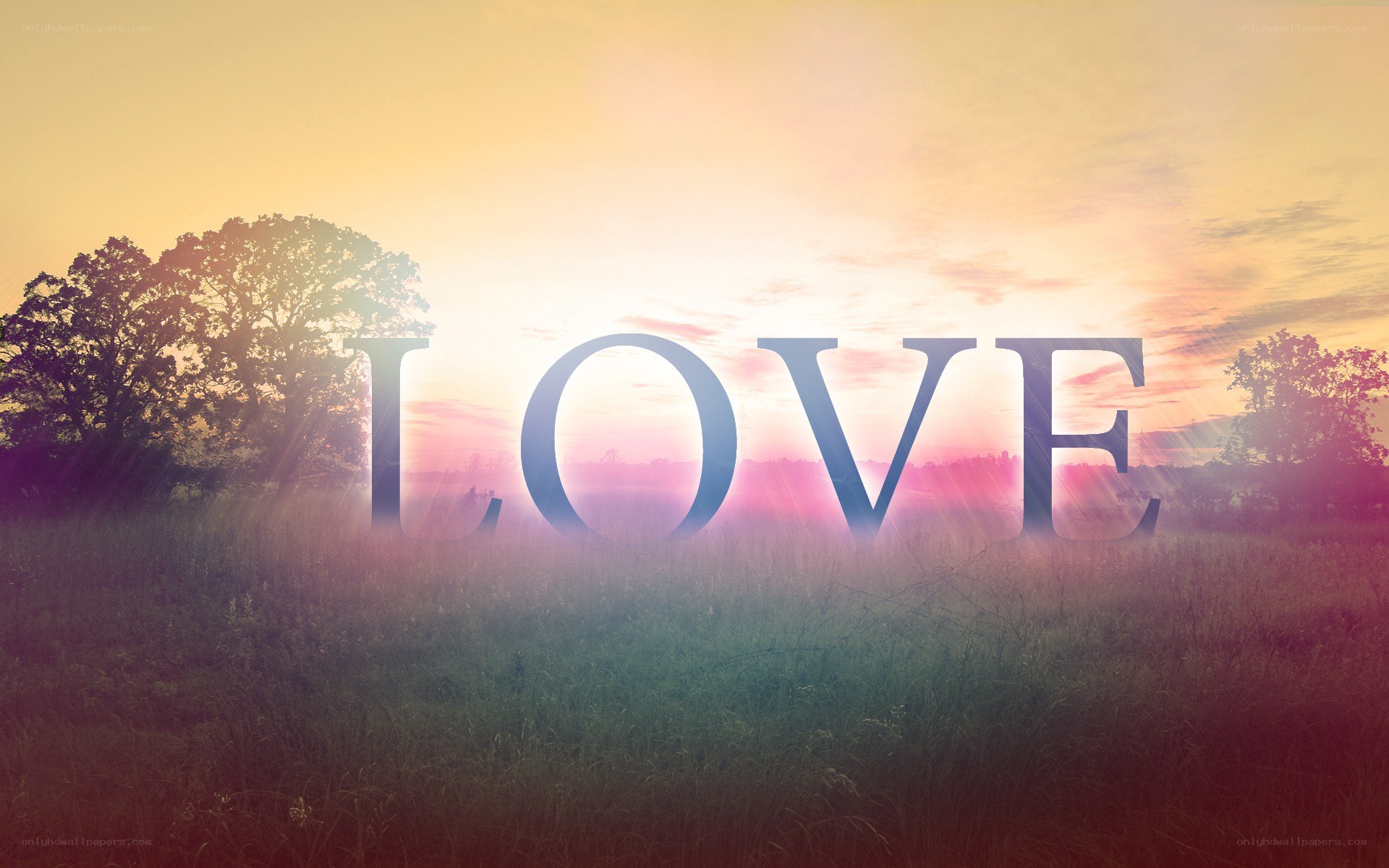 Love in a sunset field