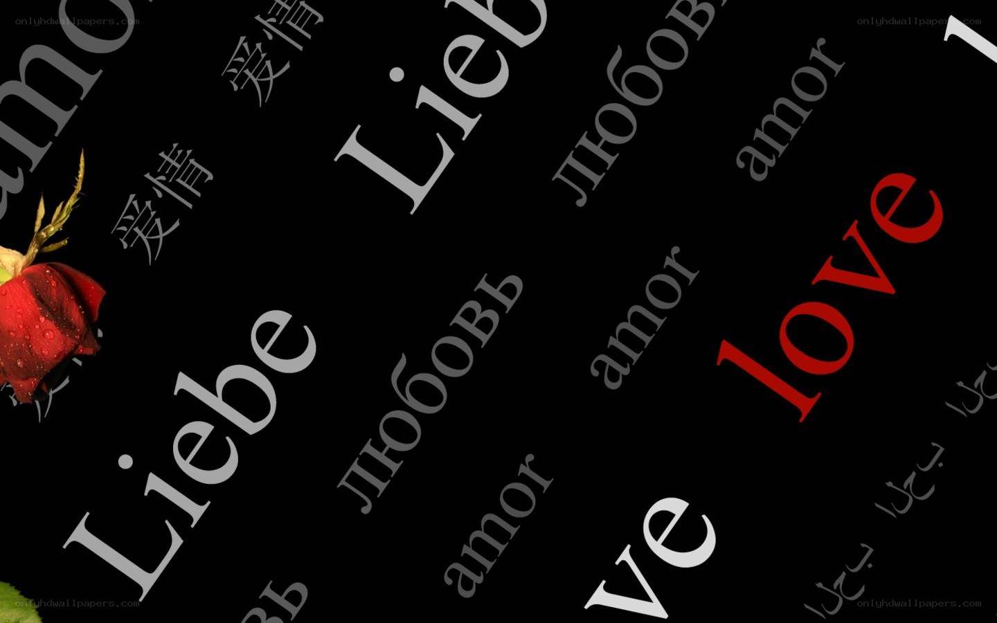 Love in multiple languages