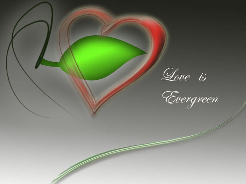 love is evergreen