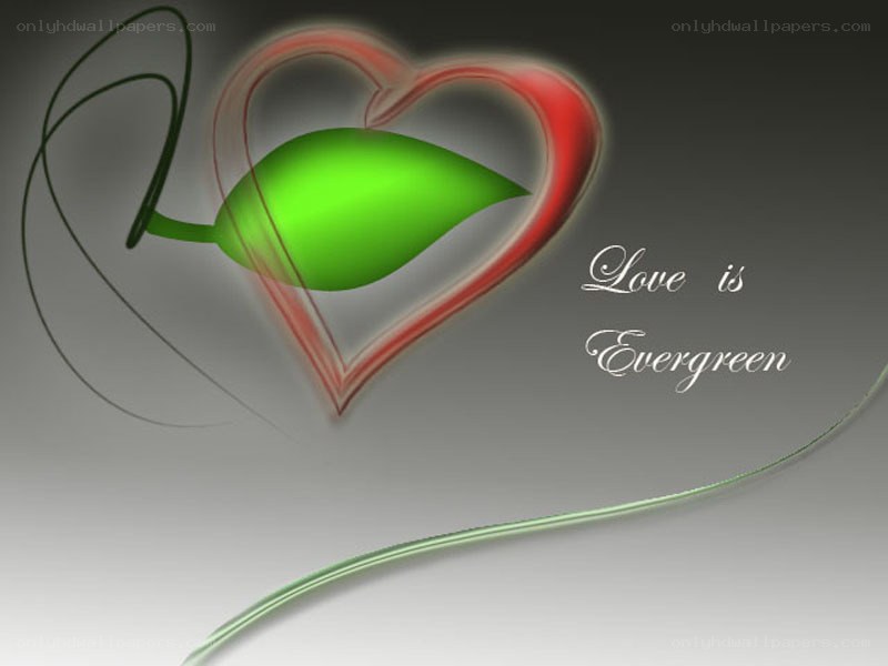 love is evergreen