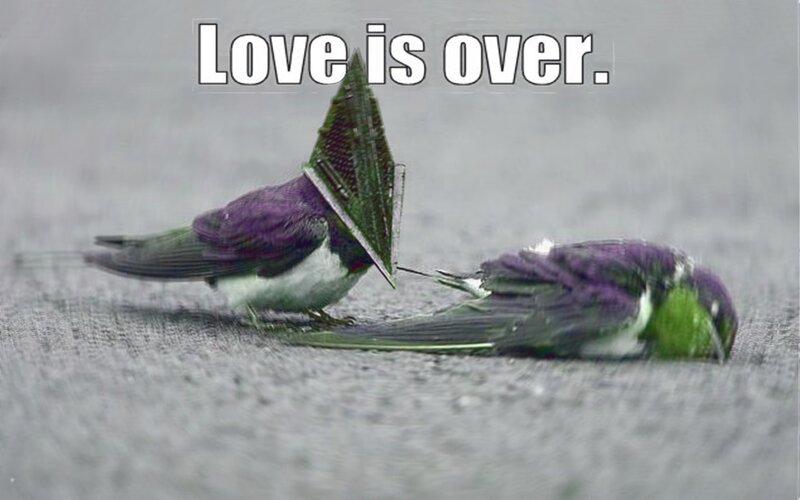 Love is over meme