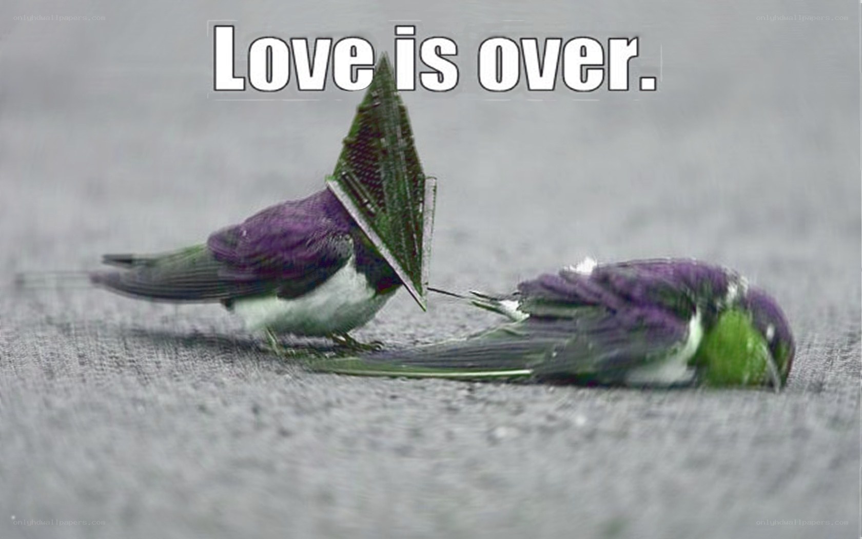 Love is over meme
