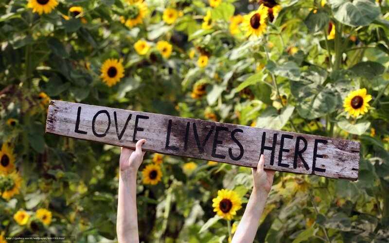Love Lives Here sign in sunflower field