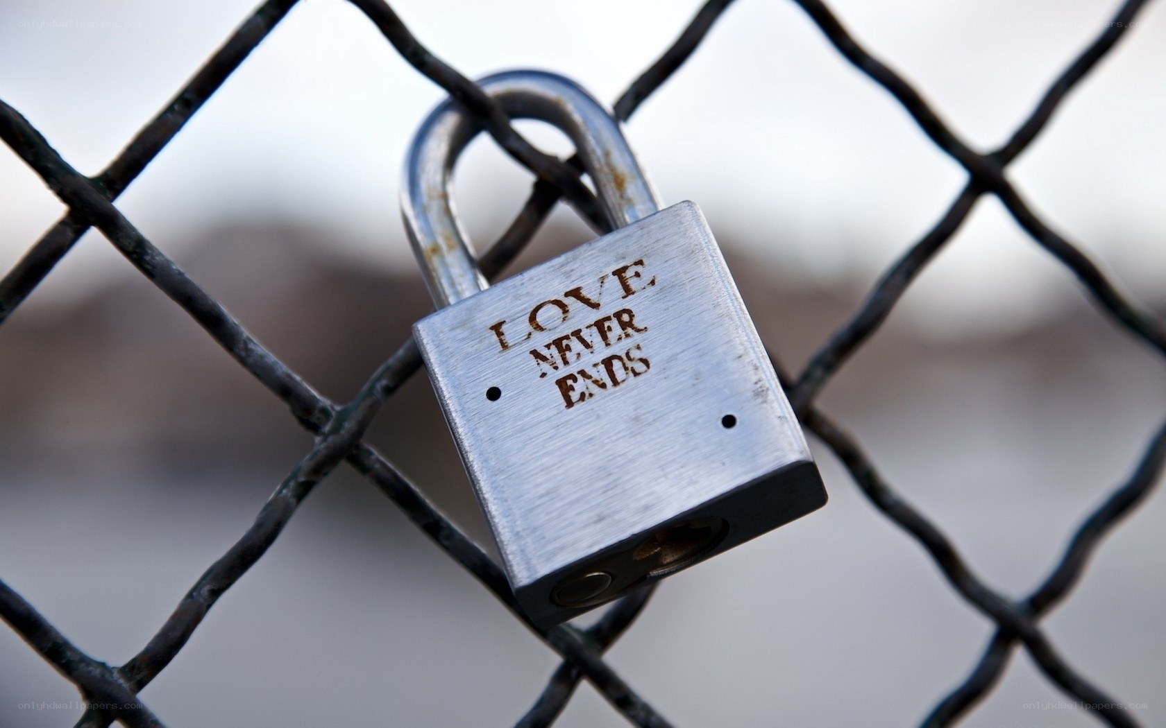 Love lock on chain-link fence