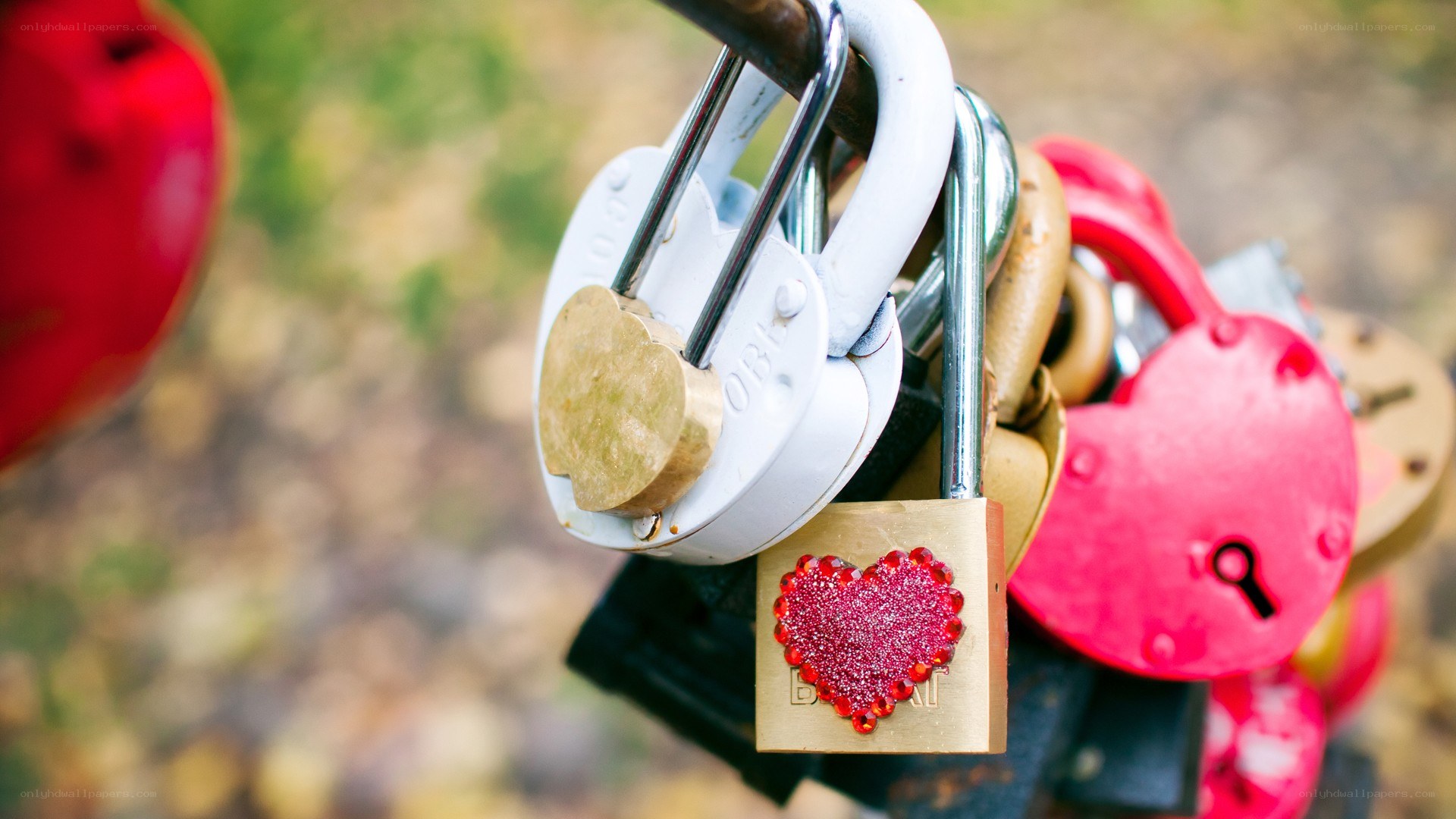 love locks on a bridge