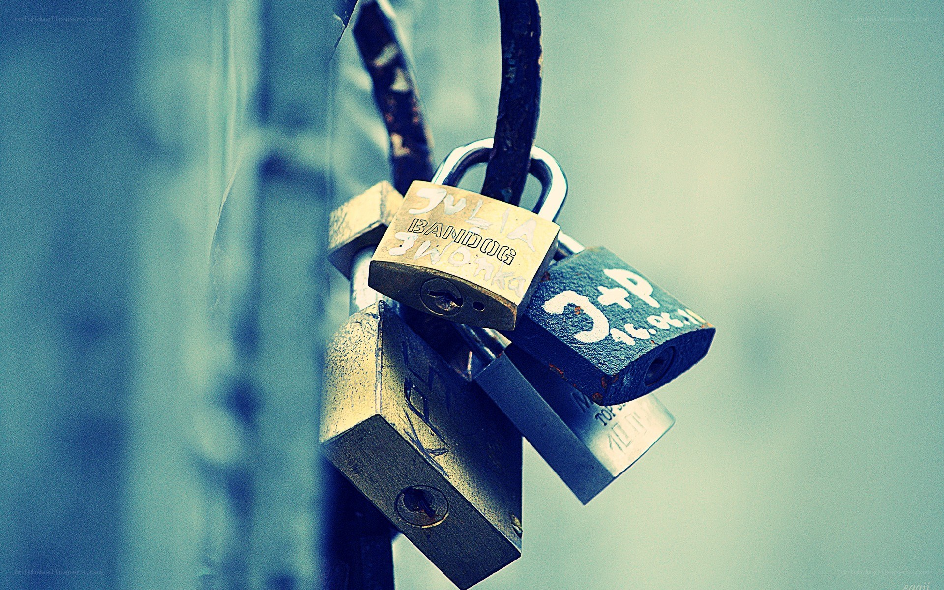 love locks on a bridge