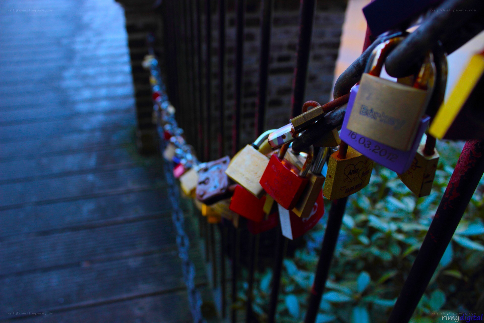love locks on a bridge
