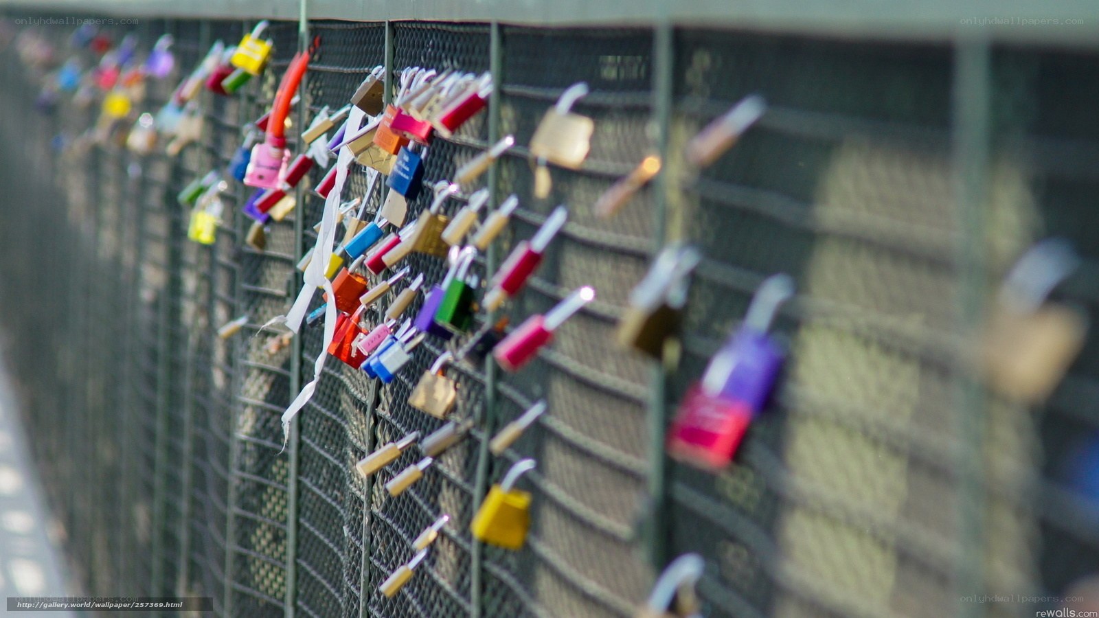 love locks on a bridge
