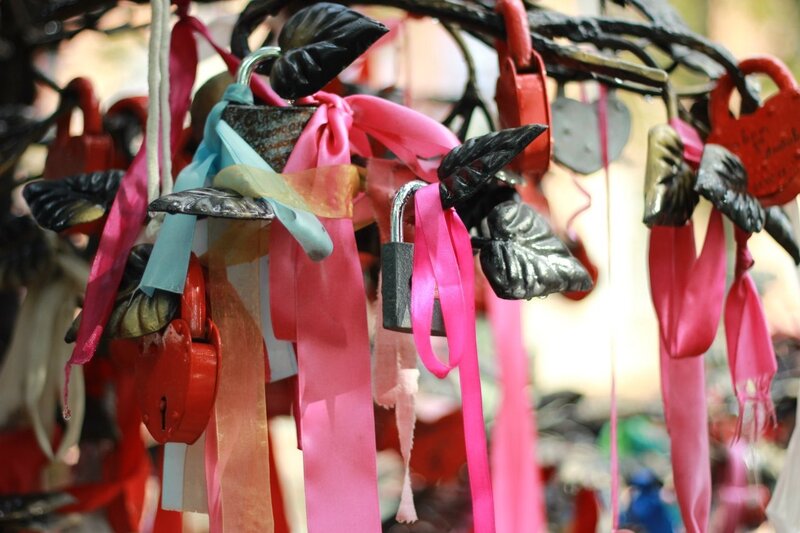 Love Locks on Tree