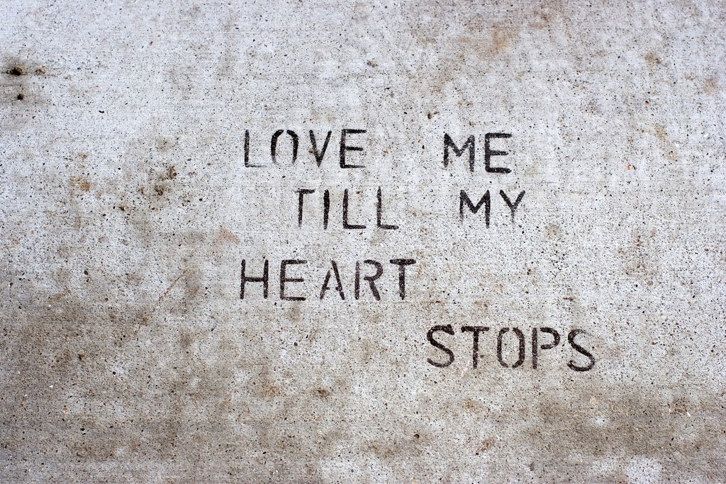 love me till my heart stops