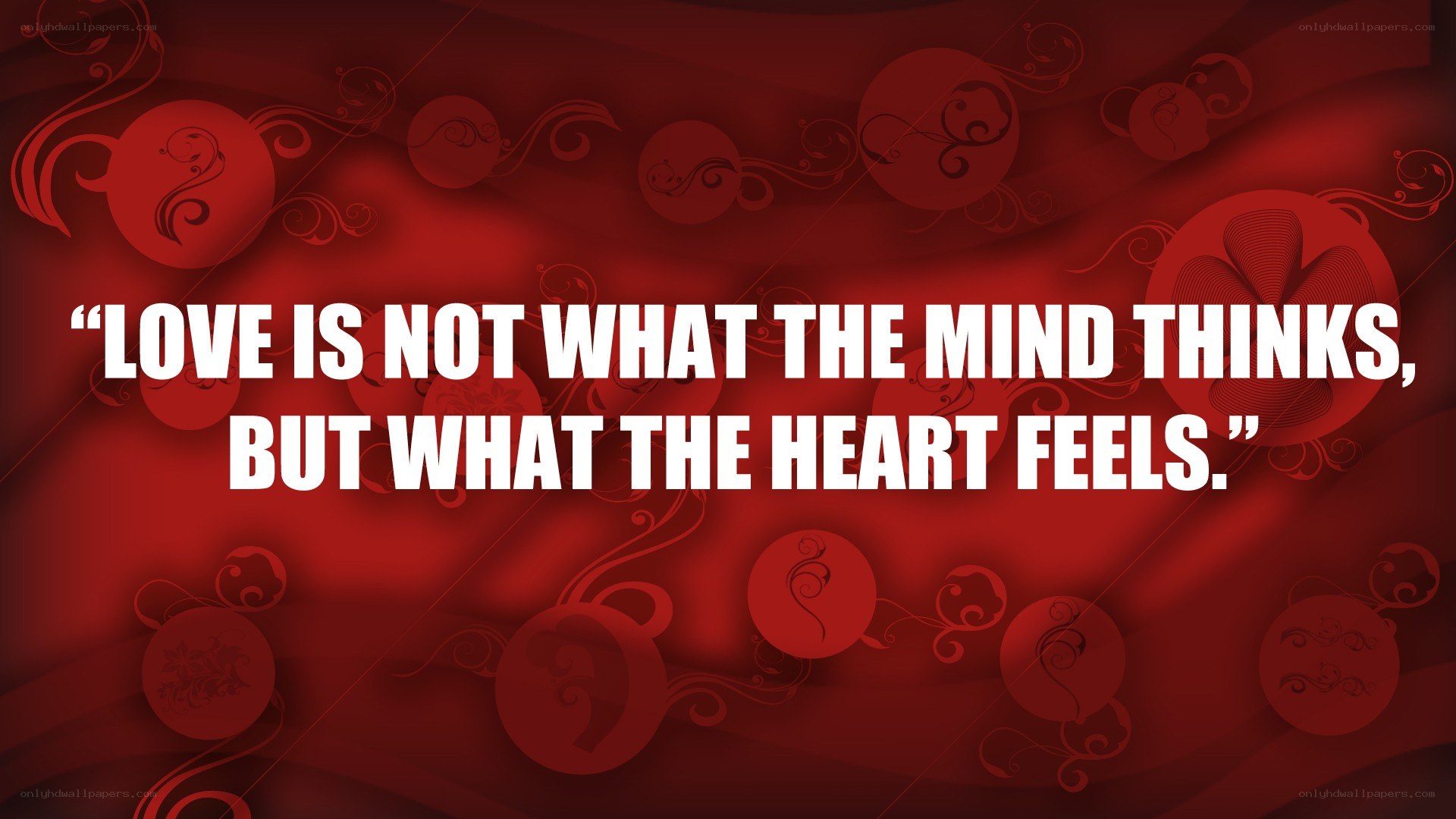 love quote on red background