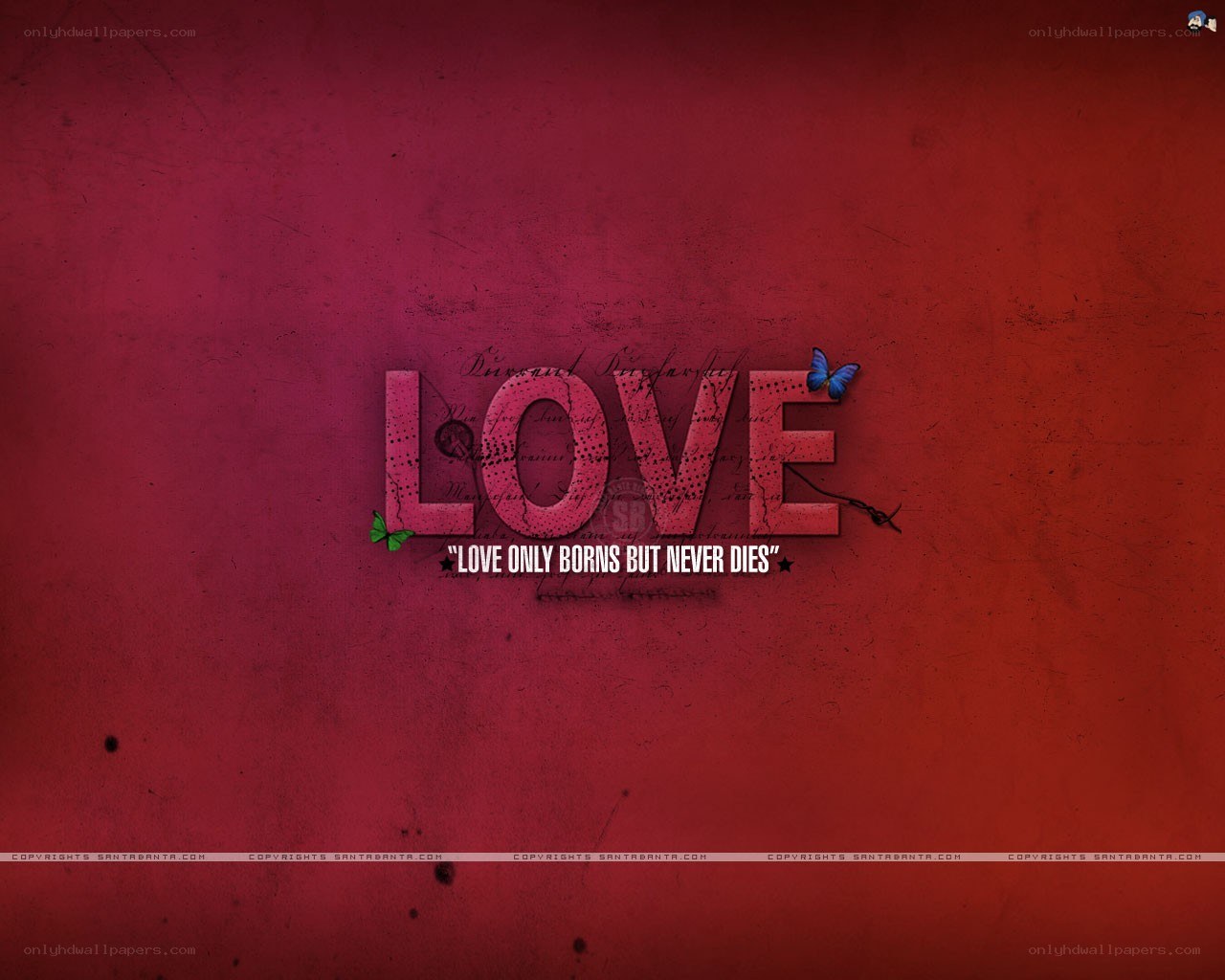 Love quote wallpaper