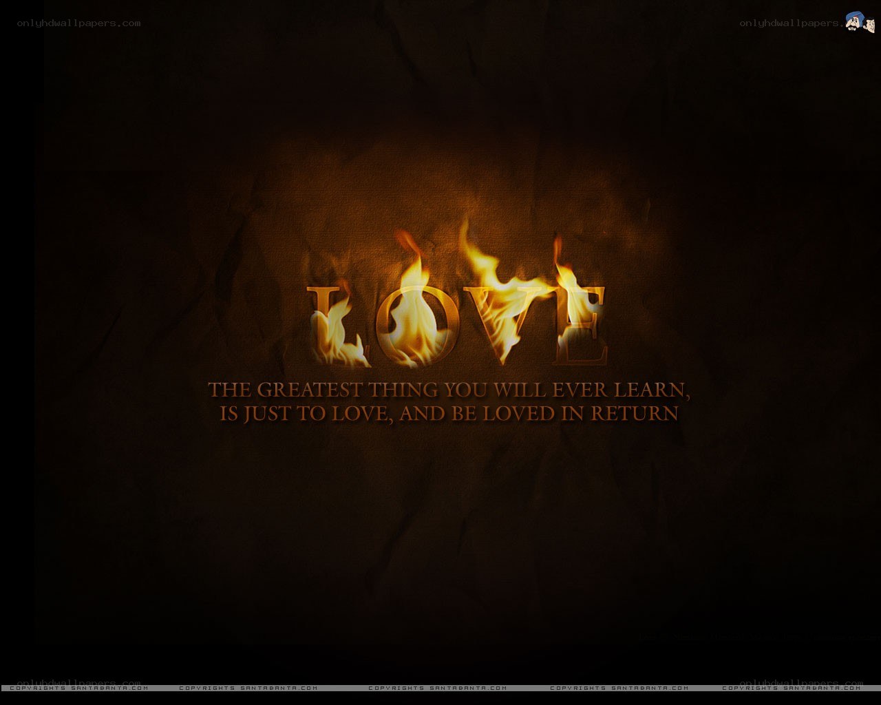 Love quote with flames