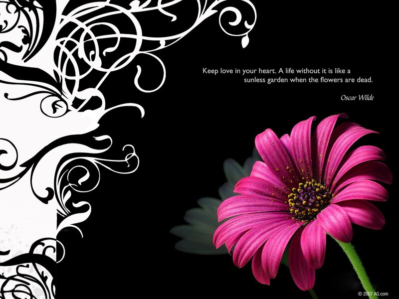 Love quote with flower