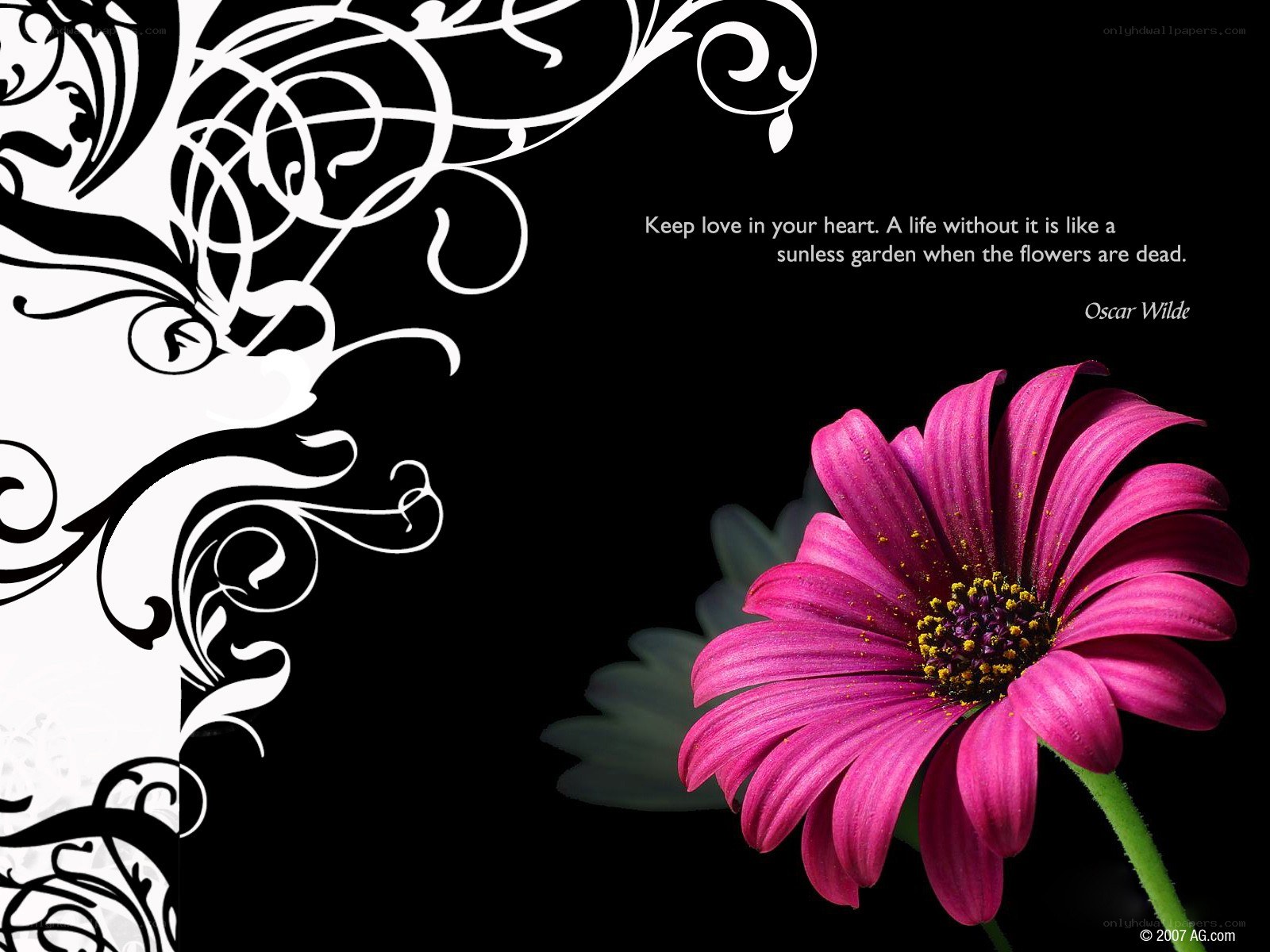 Love quote with flower