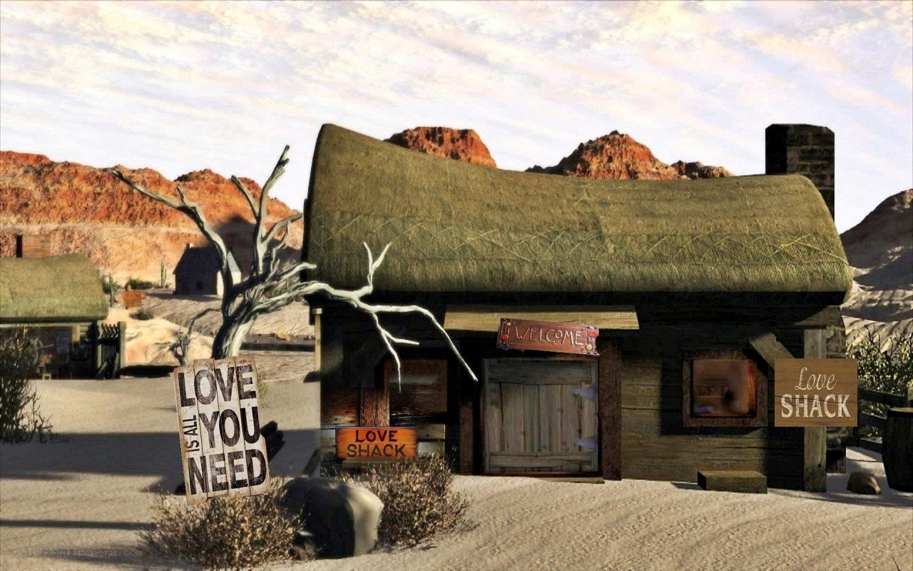 Love Shack in the desert