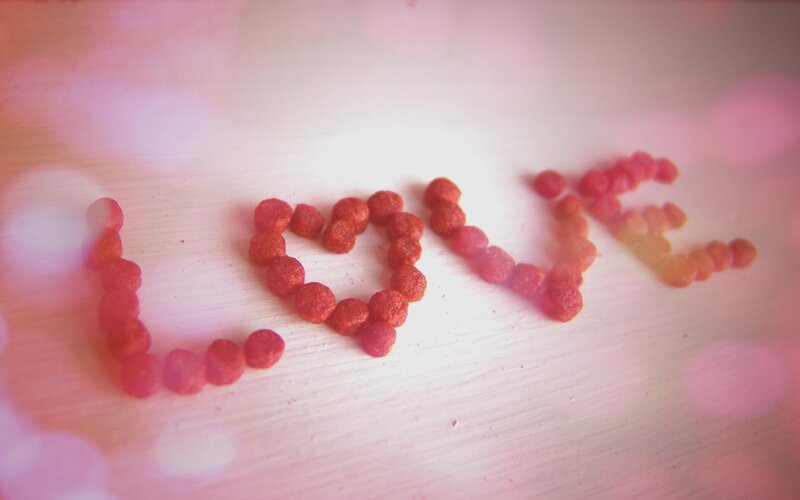 Love spelled with red pellets