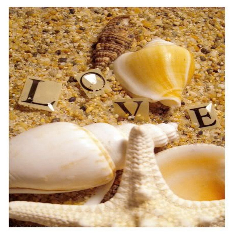 Love spelled with seashells on sand