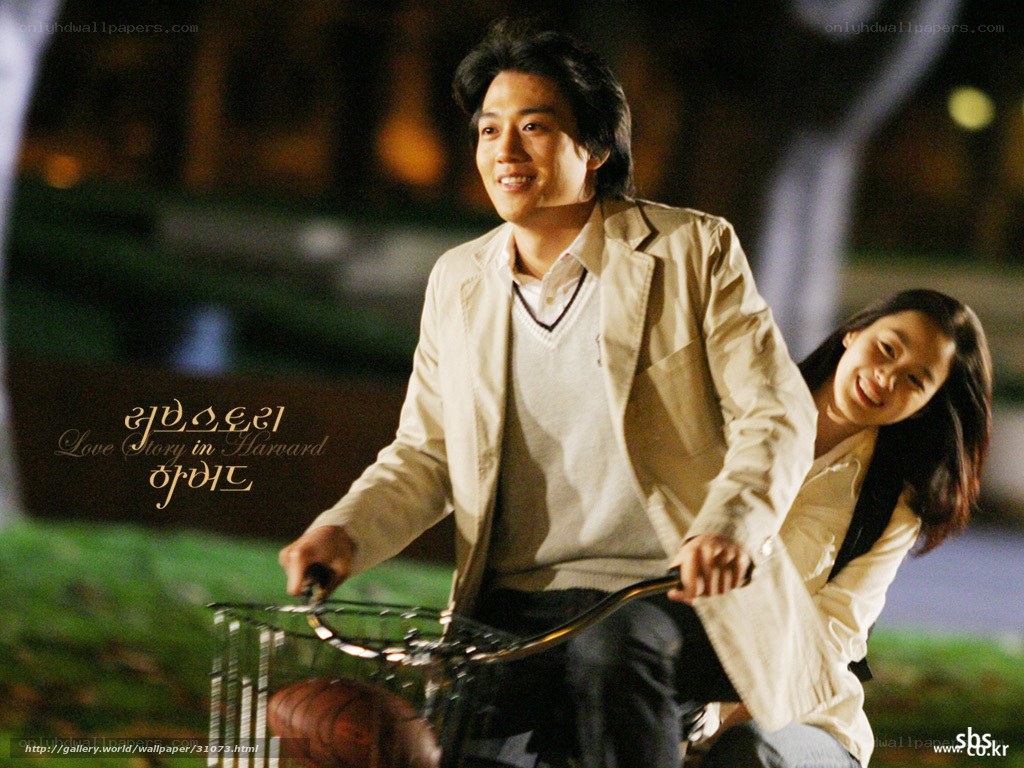 Love Story in Harvard