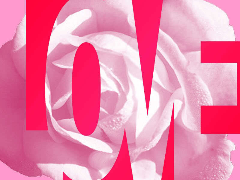 love text over pink rose