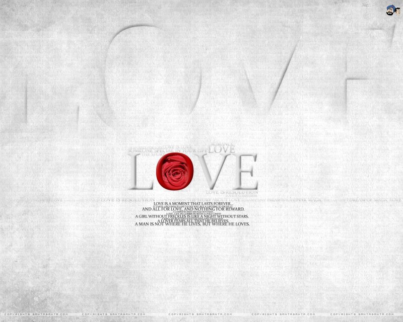 Love theme with rose