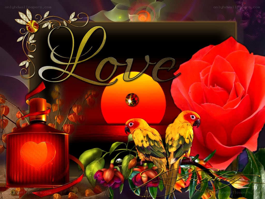 Love with birds and rose
