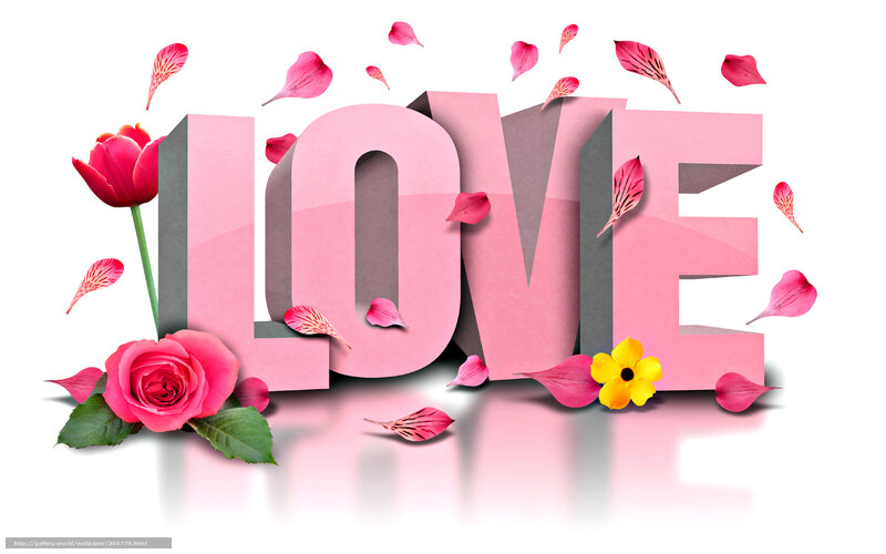 Love with flowers and petals