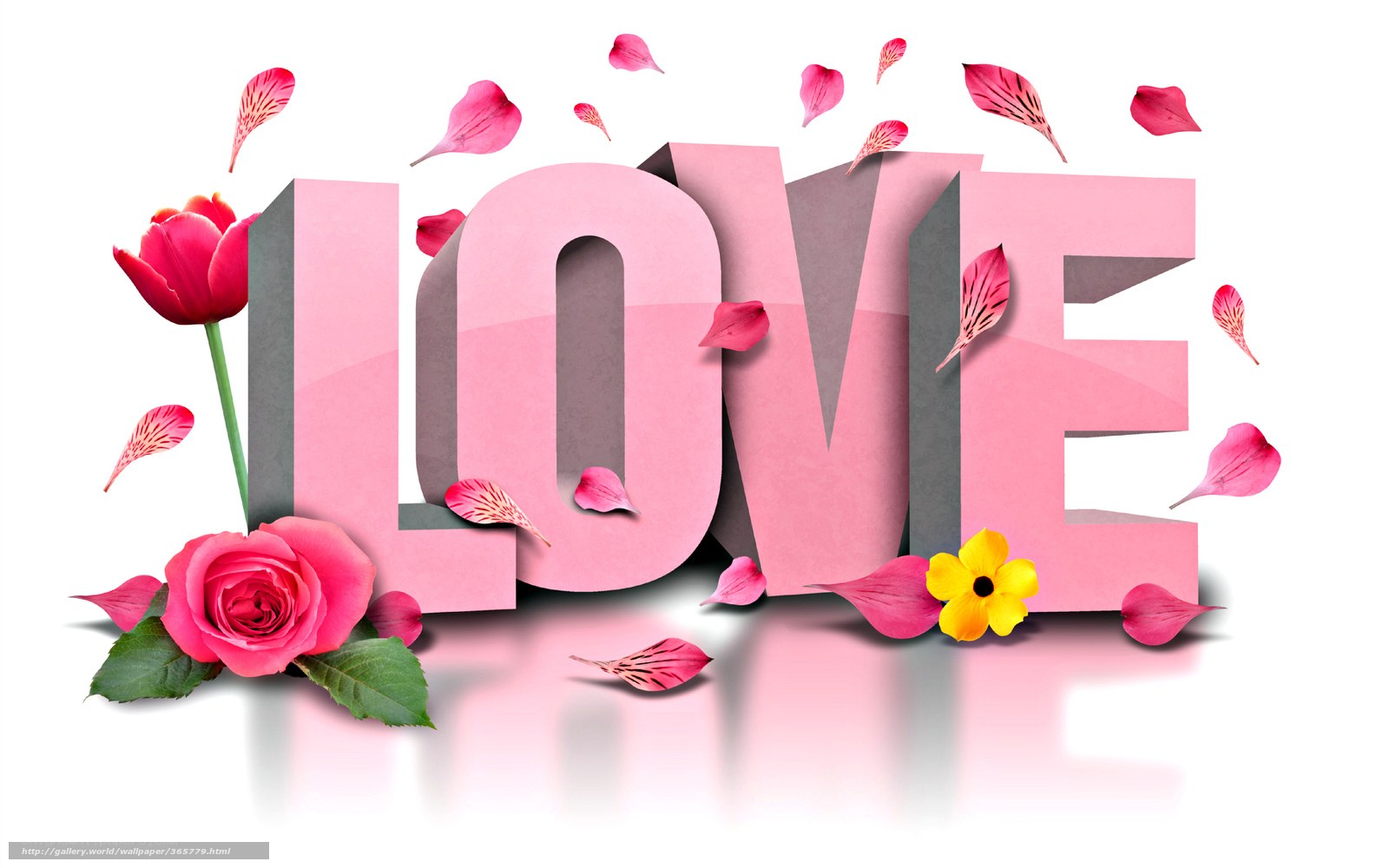 Love with flowers and petals