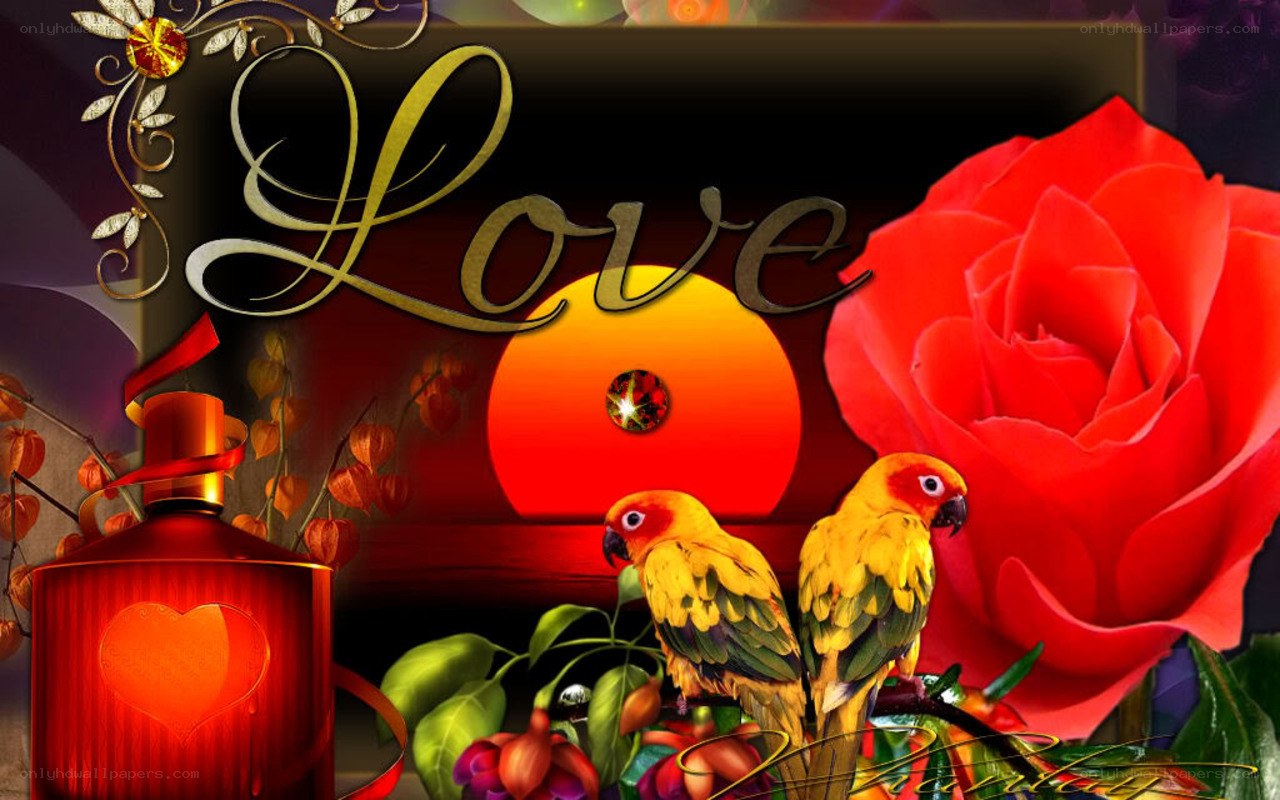 Love with parrots and rose