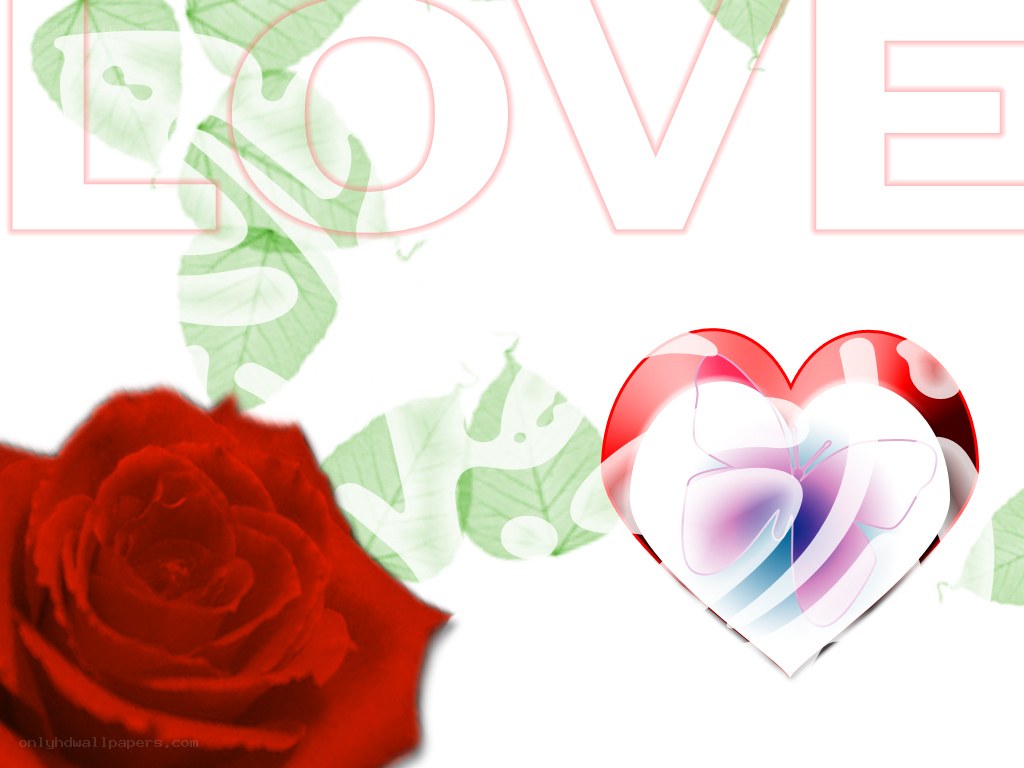 love with rose and heart