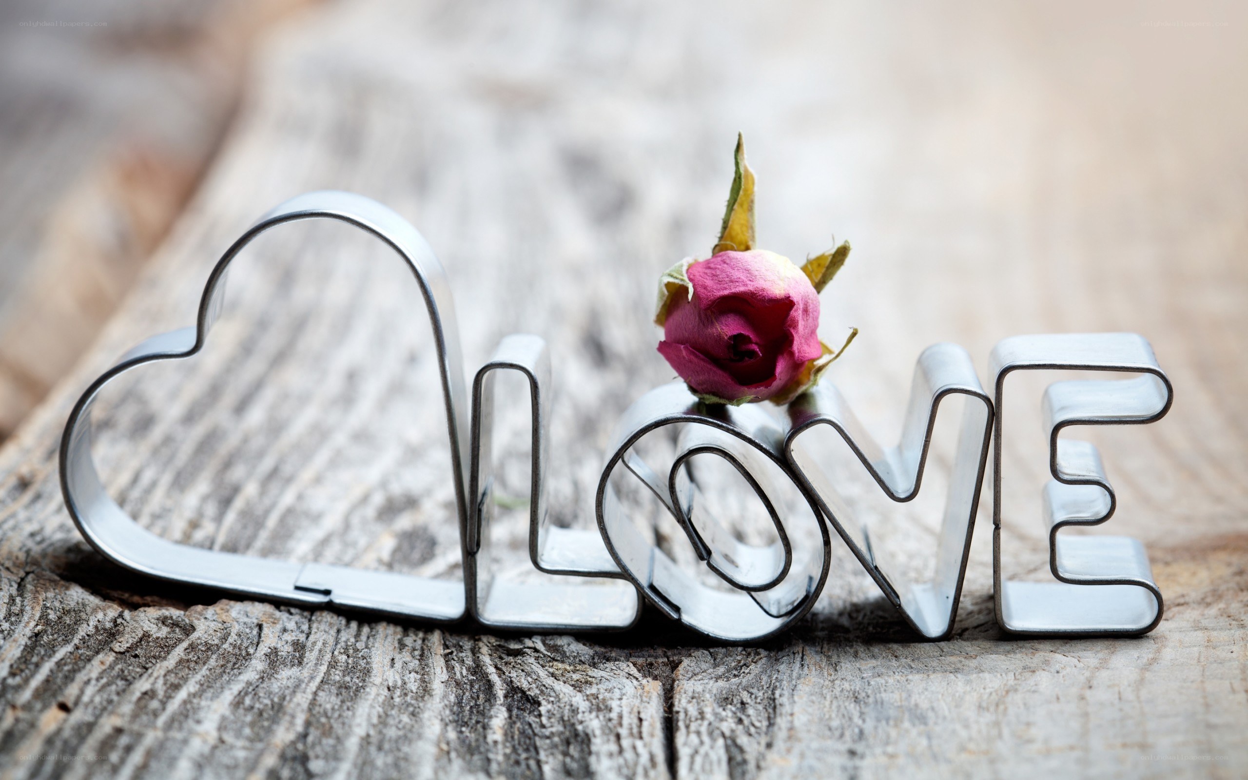 Love word with rose bud