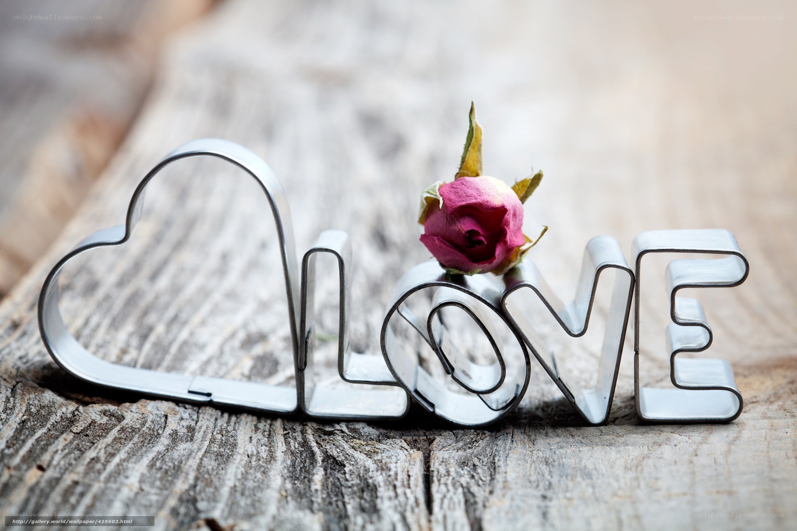 Love word with rose bud