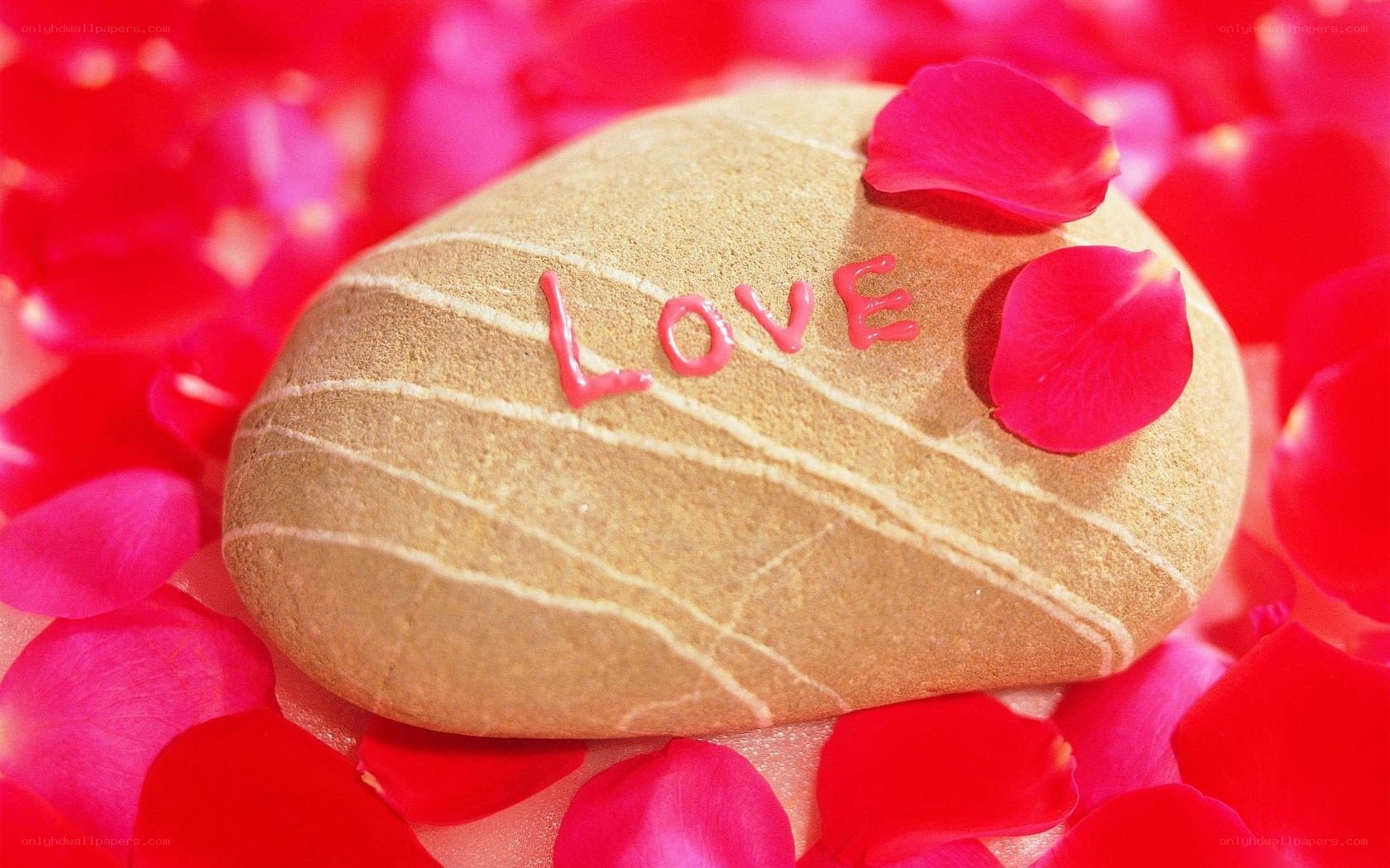 Love written on a stone with rose petals
