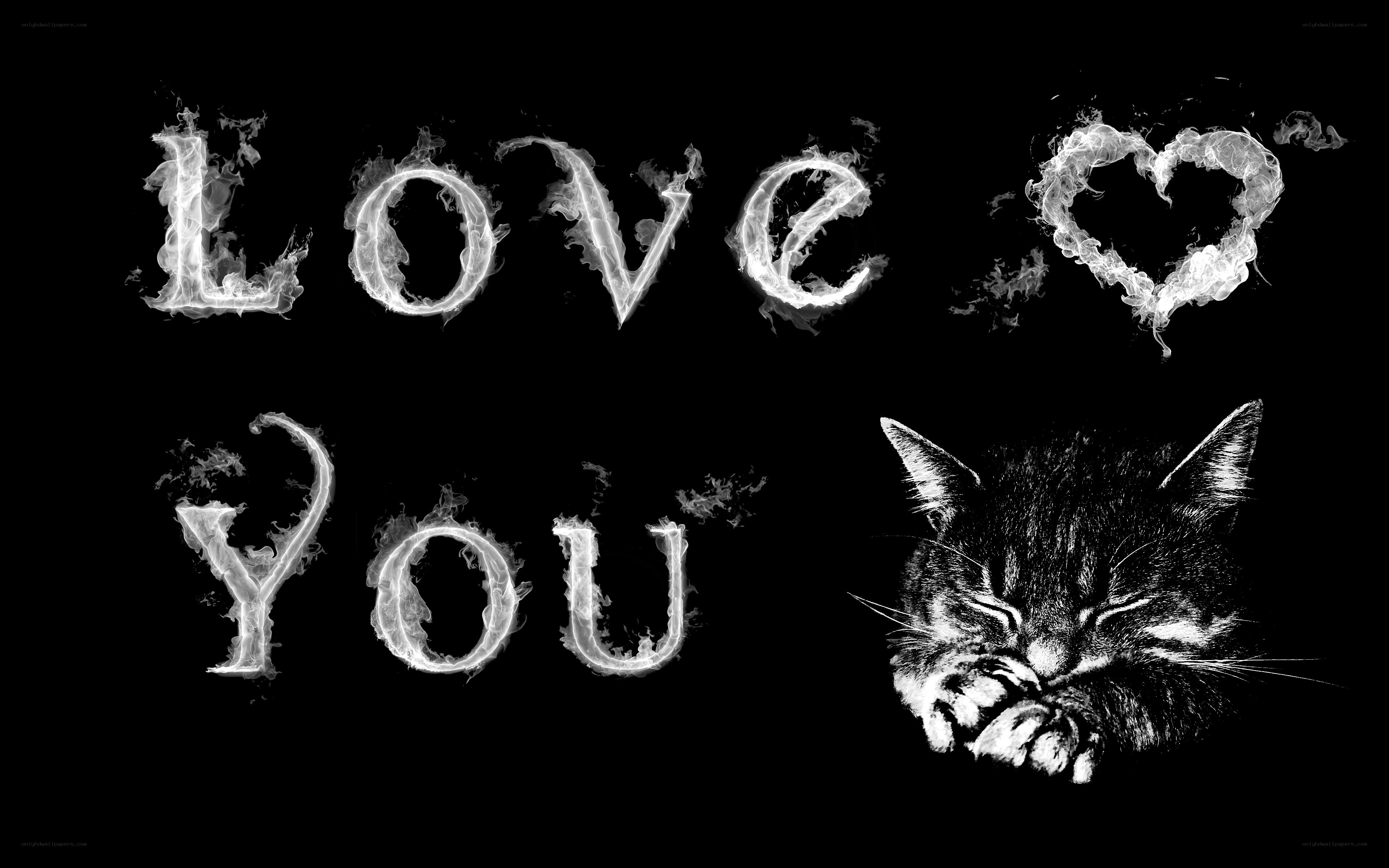 Love you with a cat