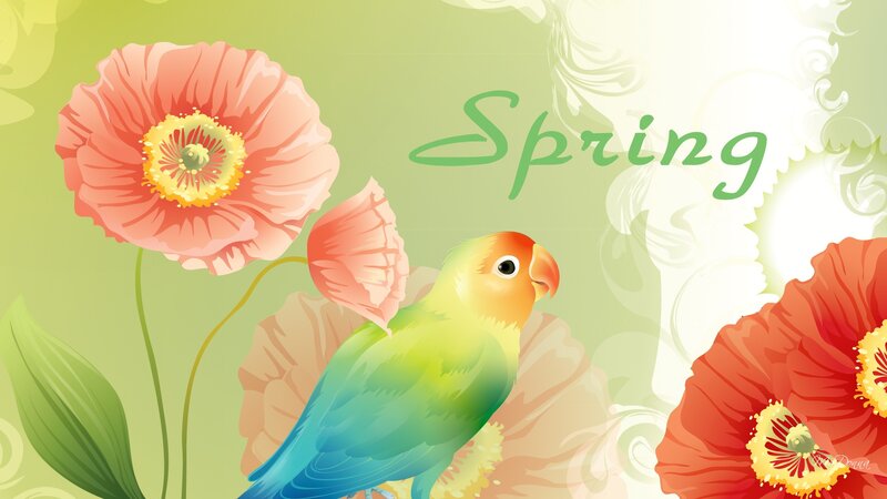 Lovebird Among Flowers