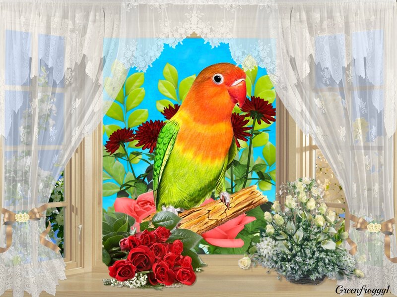 Lovebird on a Branch