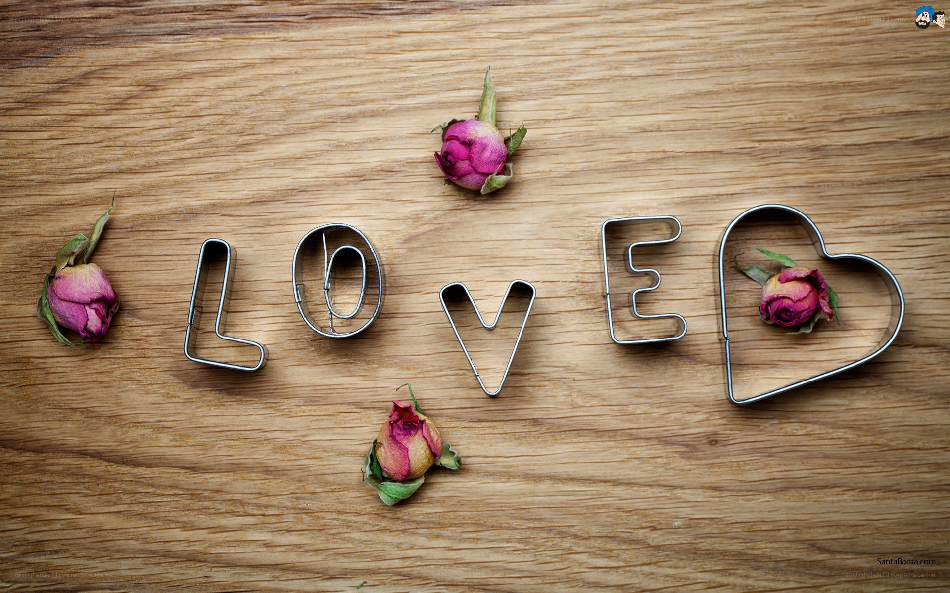LOVED word with dried roses