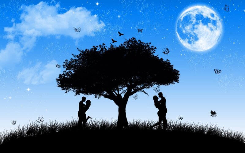Lovers under the moonlit sky