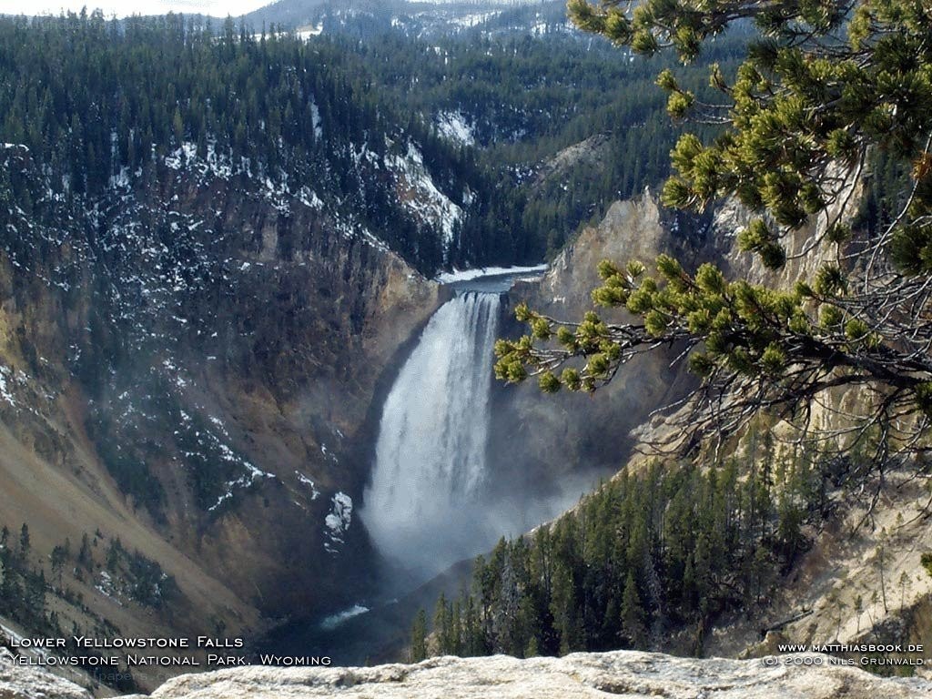 Lower Yellowstone Falls