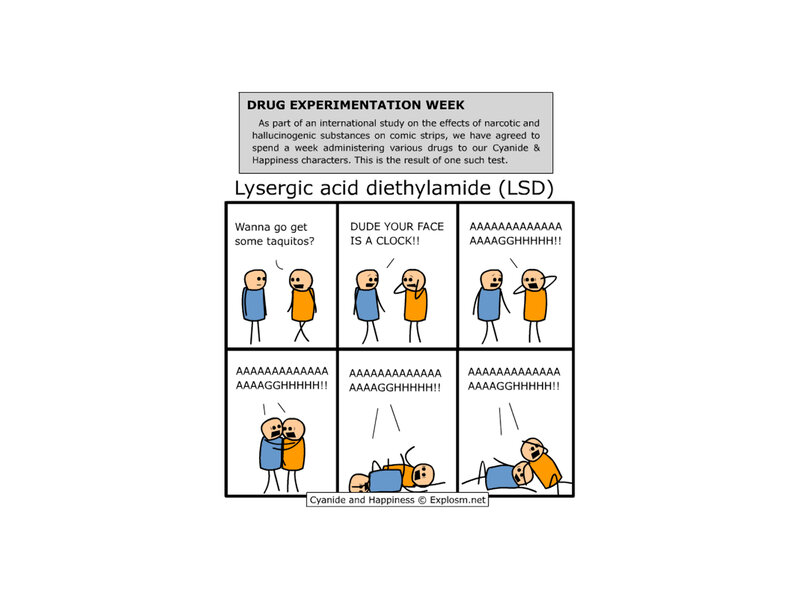 LSD experiment comic