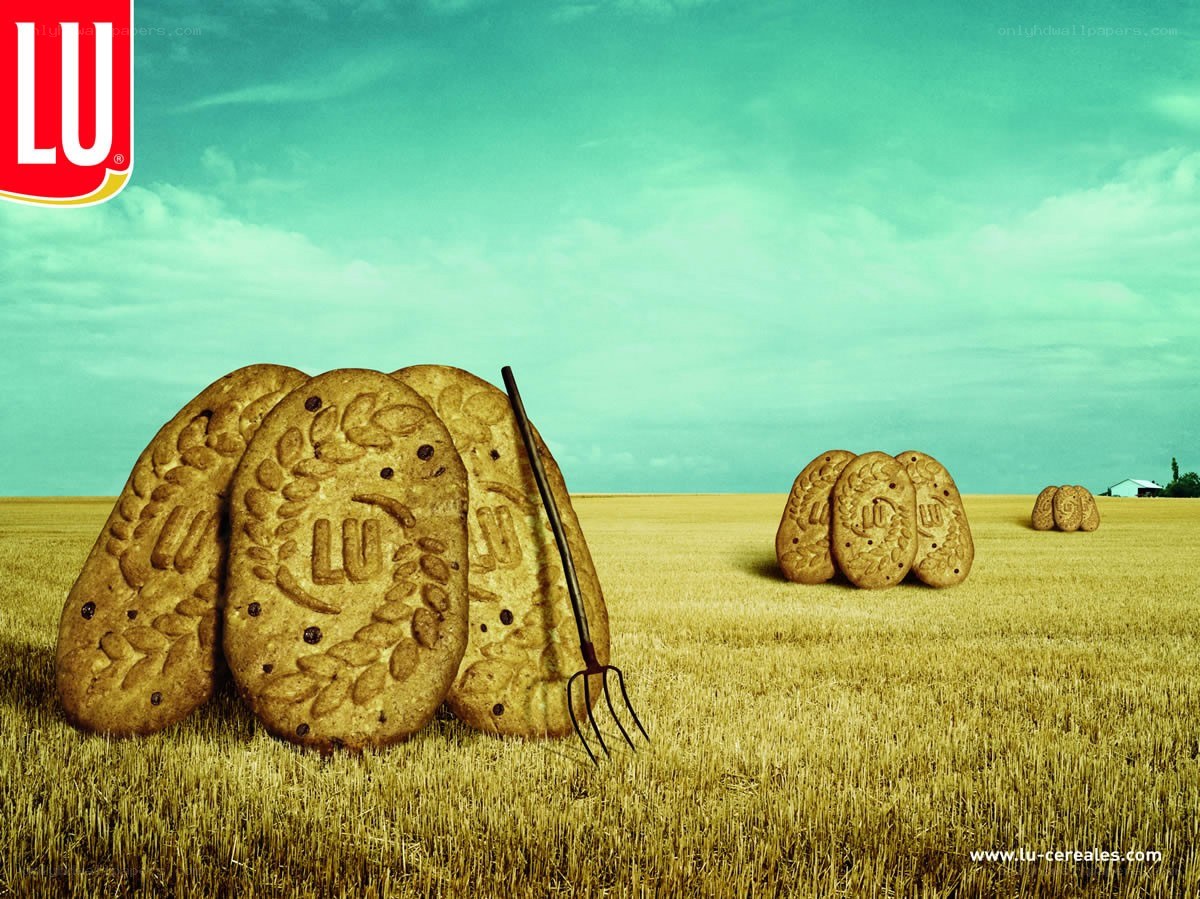 LU cookies in a field