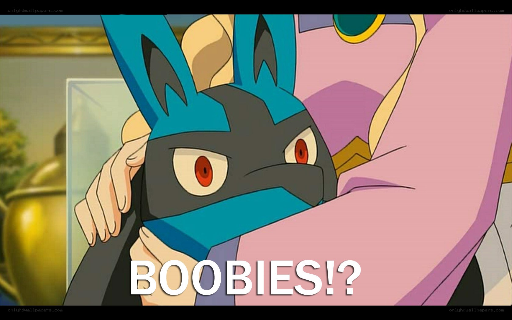 Lucario in a hug