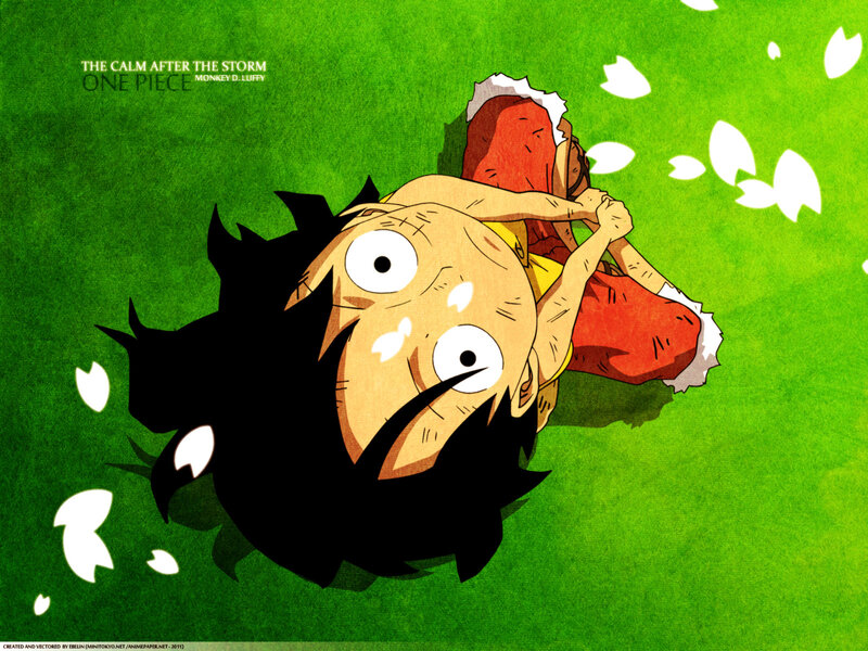Luffy after the storm