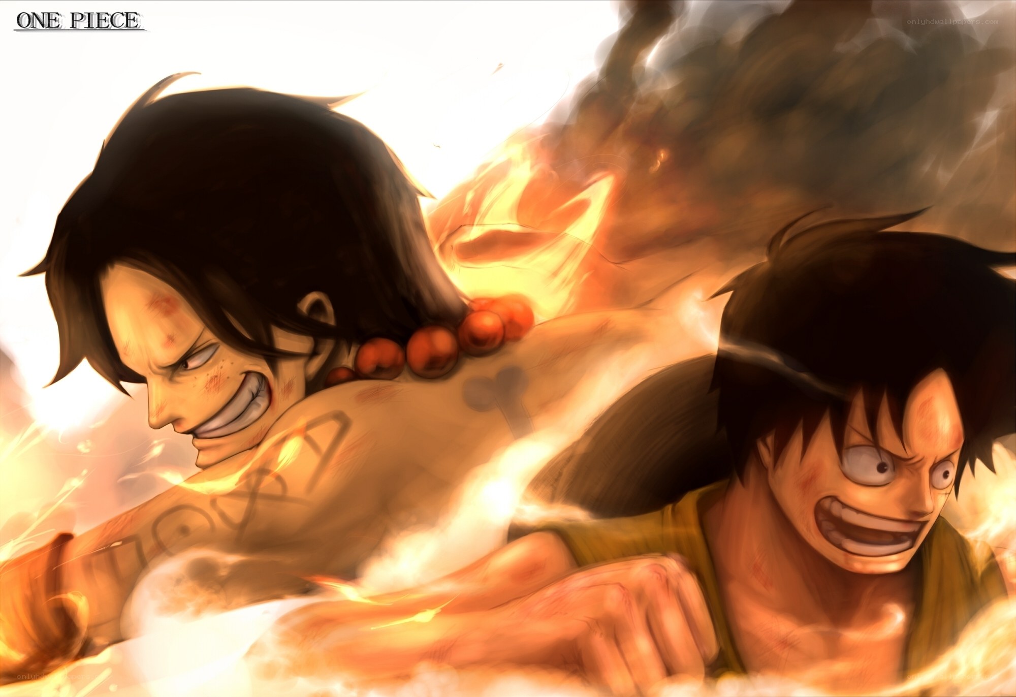 Luffy and Ace in battle