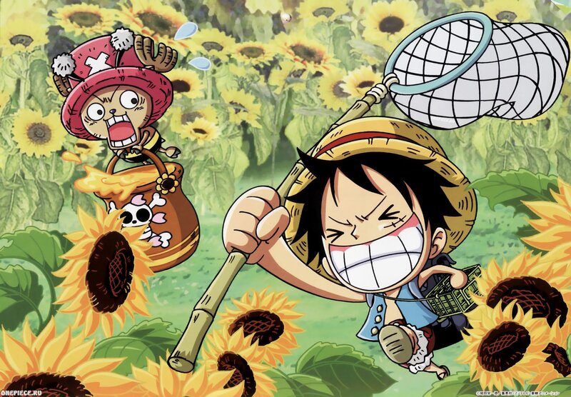 Luffy and Chopper in sunflower field