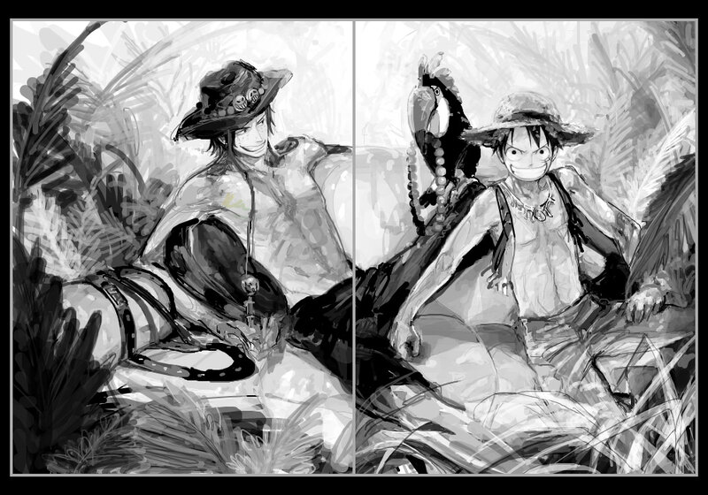 Luffy and Sanji in the jungle