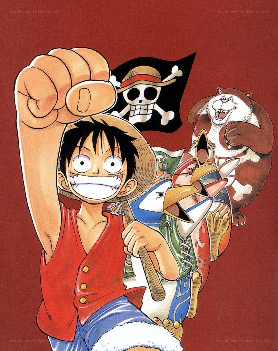 Luffy and the Straw Hat Pirates