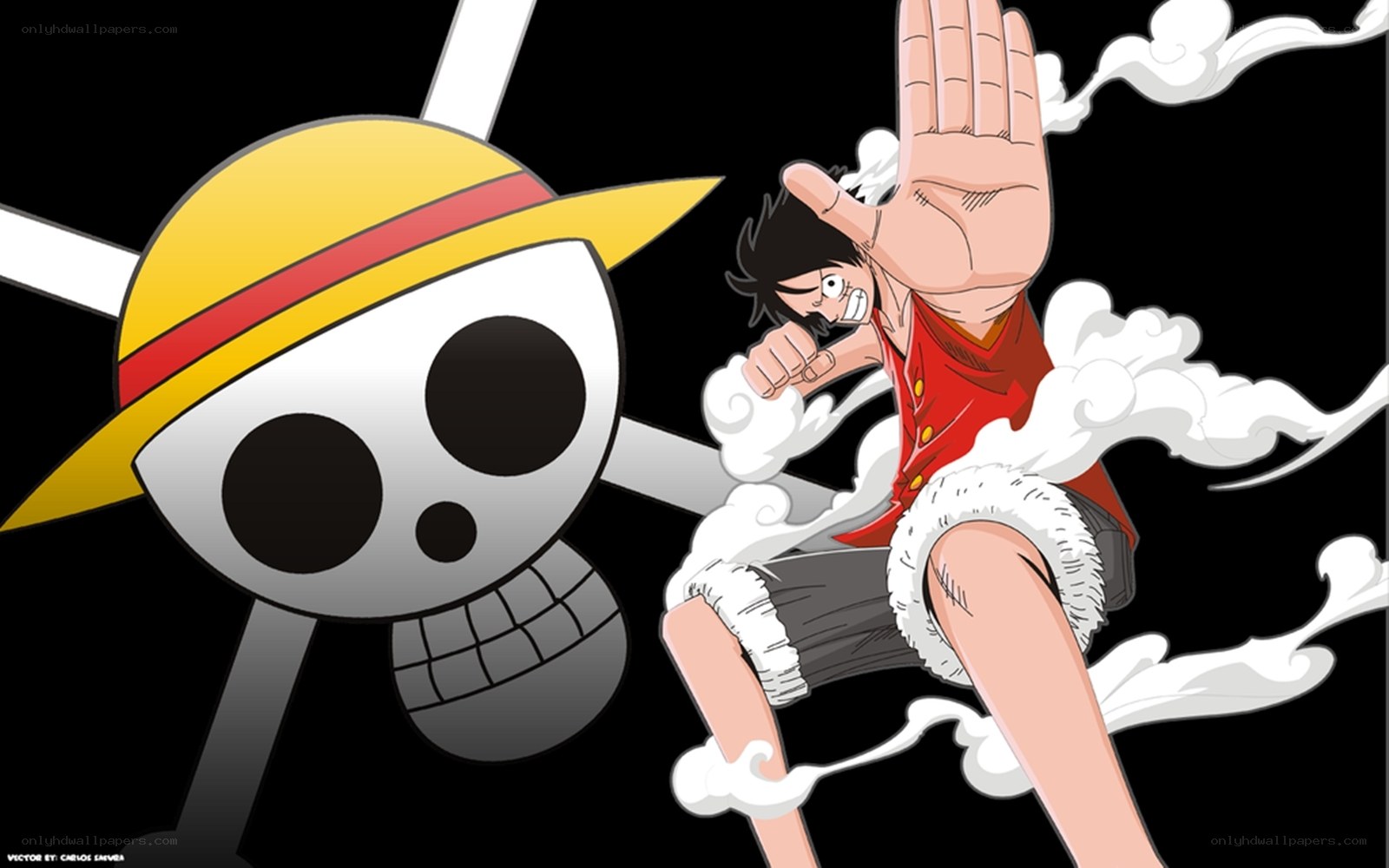 Luffy and the Straw Hat Pirates