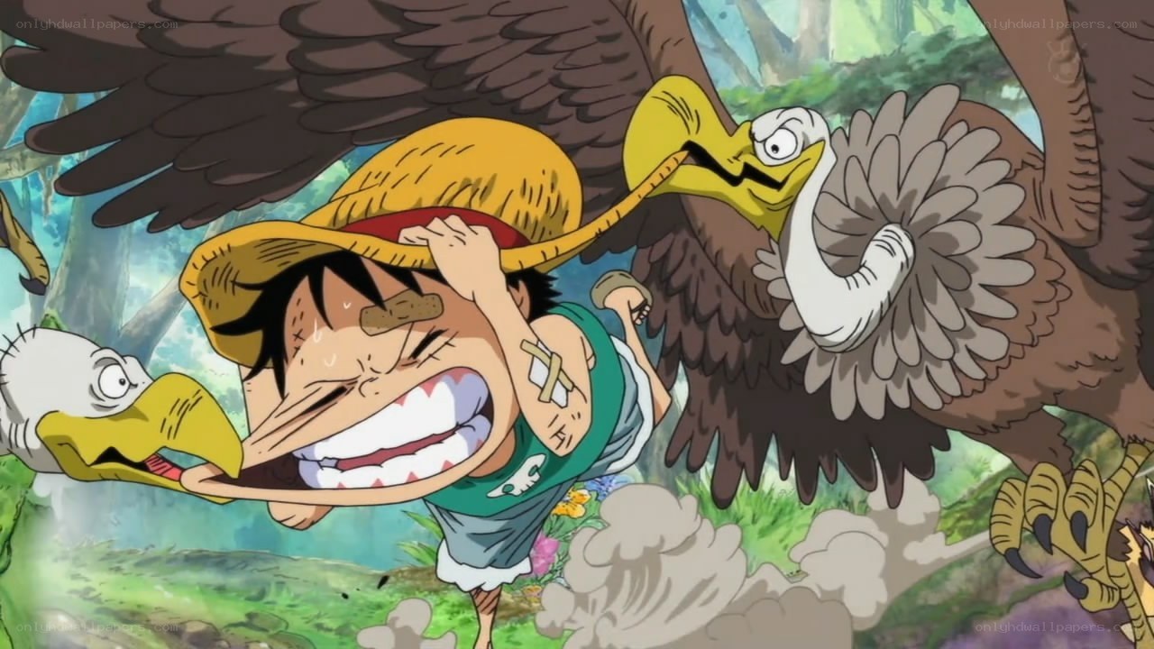 Luffy attacked by birds