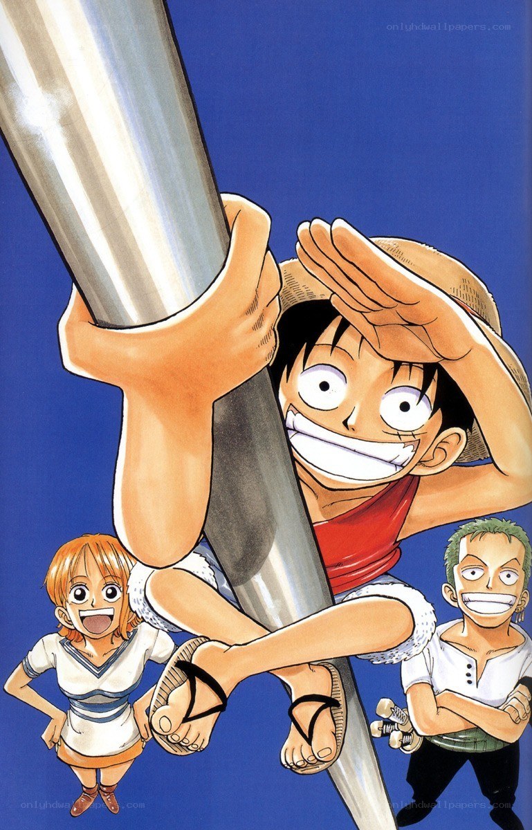 Luffy climbing a pole